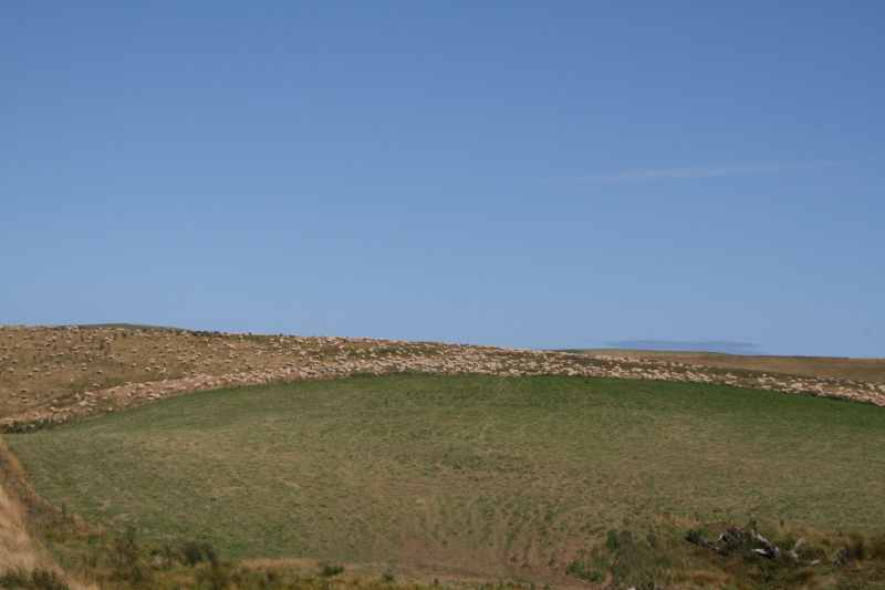 Nieuw-Zeeland 2011 - 1788